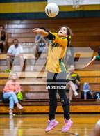 Photo from the gallery "Triton @ Pine Forest"