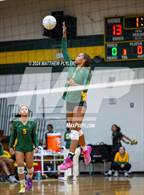 Photo from the gallery "Triton @ Pine Forest"