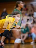 Photo from the gallery "Triton @ Pine Forest"