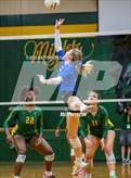 Photo from the gallery "Triton @ Pine Forest"