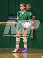 Photo from the gallery "Triton @ Pine Forest"