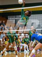 Photo from the gallery "Triton @ Pine Forest"