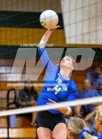 Photo from the gallery "Triton @ Pine Forest"