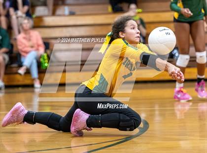 Thumbnail 1 in Triton @ Pine Forest photogallery.