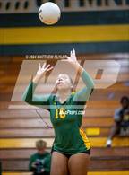 Photo from the gallery "Triton @ Pine Forest"