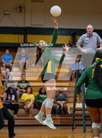 Photo from the gallery "Triton @ Pine Forest"