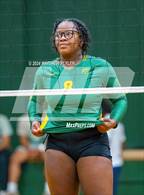 Photo from the gallery "Triton @ Pine Forest"