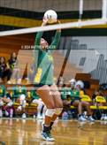 Photo from the gallery "Triton @ Pine Forest"