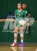 Photo from the gallery "Triton @ Pine Forest"
