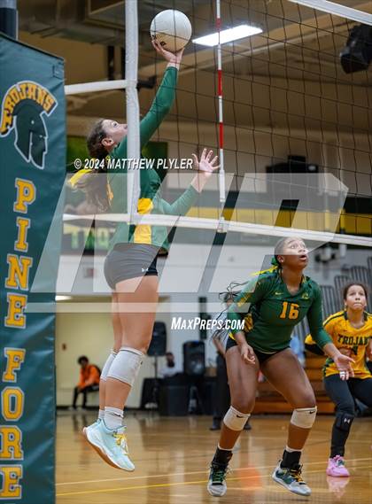 Thumbnail 1 in Triton @ Pine Forest photogallery.