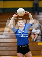 Photo from the gallery "Triton @ Pine Forest"