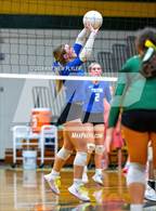 Photo from the gallery "Triton @ Pine Forest"