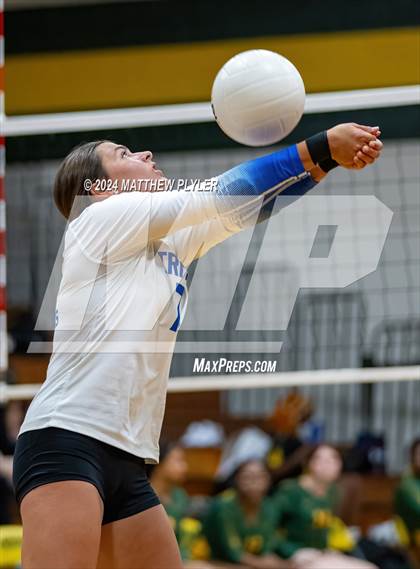 Thumbnail 1 in Triton @ Pine Forest photogallery.