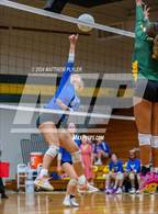 Photo from the gallery "Triton @ Pine Forest"