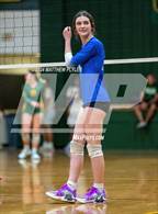 Photo from the gallery "Triton @ Pine Forest"