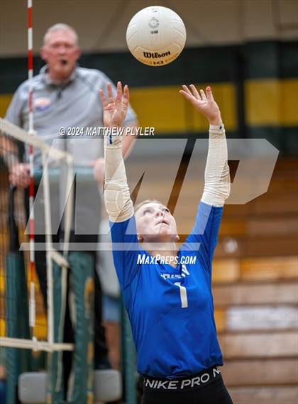 Thumbnail 3 in Triton @ Pine Forest photogallery.