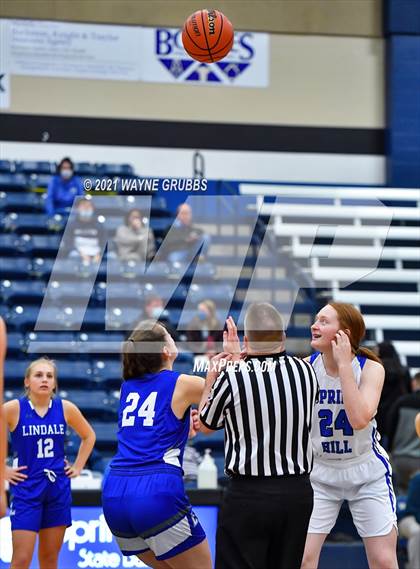 Thumbnail 3 in Lindale @ Spring Hill photogallery.