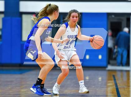 Thumbnail 2 in Lindale @ Spring Hill photogallery.