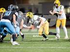 Photo from the gallery "Live Oak @ Christopher"