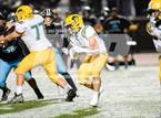 Photo from the gallery "Live Oak @ Christopher"