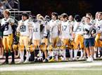 Photo from the gallery "Live Oak @ Christopher"