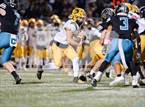 Photo from the gallery "Live Oak @ Christopher"