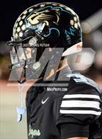 Photo from the gallery "Live Oak @ Christopher"