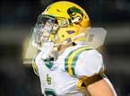 Photo from the gallery "Live Oak @ Christopher"
