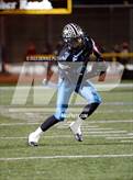 Photo from the gallery "Live Oak @ Christopher"