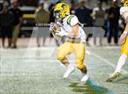 Photo from the gallery "Live Oak @ Christopher"