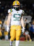 Photo from the gallery "Live Oak @ Christopher"