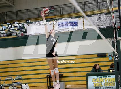 Thumbnail 3 in Mica Mountain @ Canyon del Oro photogallery.