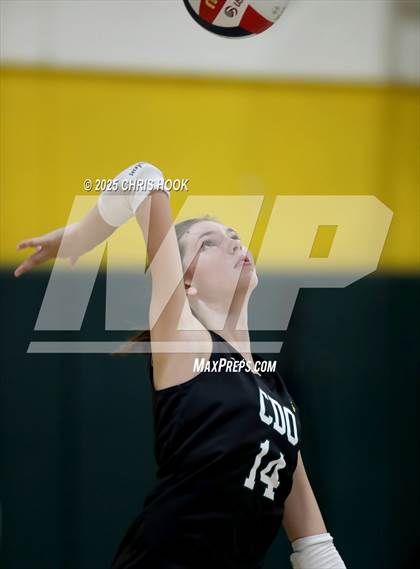 Thumbnail 3 in Mica Mountain @ Canyon del Oro photogallery.