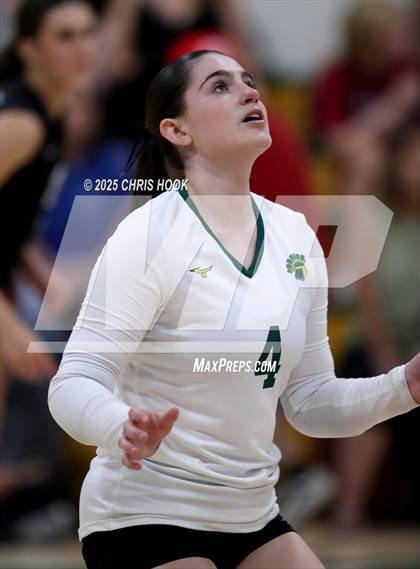 Thumbnail 3 in Mica Mountain @ Canyon del Oro photogallery.