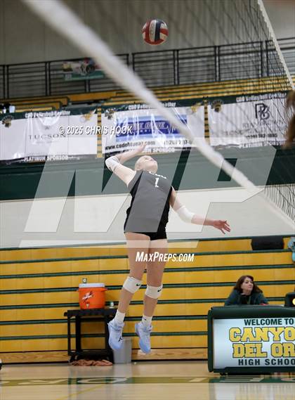 Thumbnail 1 in Mica Mountain @ Canyon del Oro photogallery.