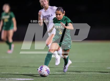Thumbnail 2 in Portola vs. Moorpark (CIF-SS Div-3 semifinal) photogallery.