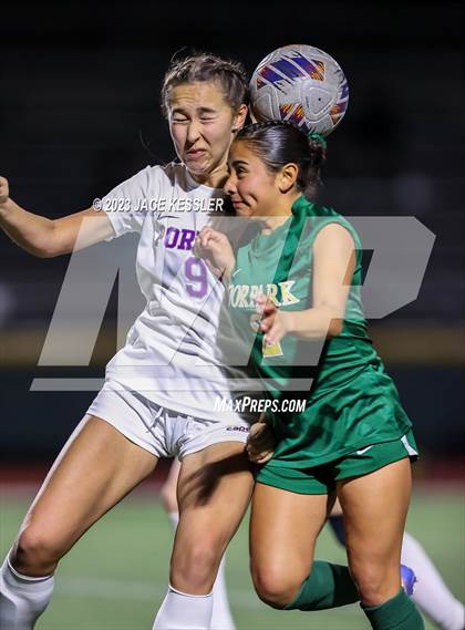 Thumbnail 3 in Portola vs. Moorpark (CIF-SS Div-3 semifinal) photogallery.