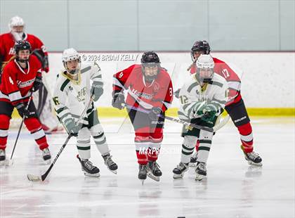 Thumbnail 2 in Hingham vs Bishop Feehan (Lee & Mike Tenny Cup) photogallery.