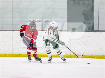 Thumbnail 1 in Hingham vs Bishop Feehan (Lee & Mike Tenny Cup) photogallery.