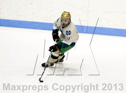 Thumbnail 1 in Fairfield Prep vs. Notre Dame-West Haven (CIAC Division I Final) photogallery.