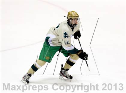 Thumbnail 2 in Fairfield Prep vs. Notre Dame-West Haven (CIAC Division I Final) photogallery.