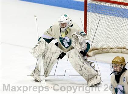 Thumbnail 1 in Fairfield Prep vs. Notre Dame-West Haven (CIAC Division I Final) photogallery.