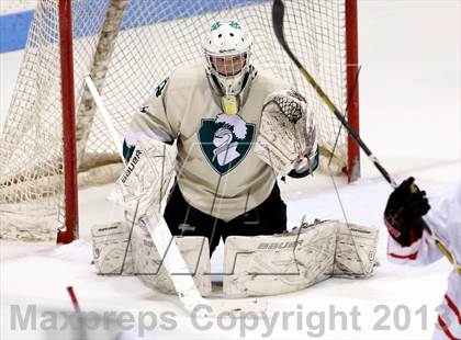 Thumbnail 1 in Fairfield Prep vs. Notre Dame-West Haven (CIAC Division I Final) photogallery.
