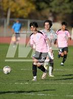 Photo from the gallery "North Tahoe @ Truckee"