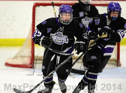 Thumbnail 2 in North Branford @ North Haven photogallery.