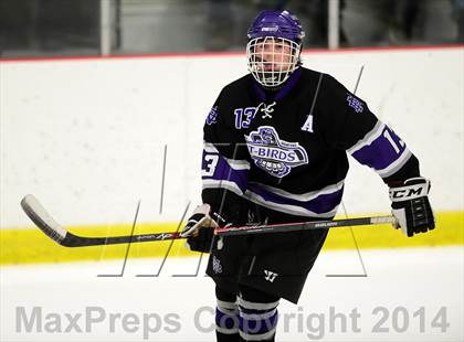 Thumbnail 1 in North Branford @ North Haven photogallery.