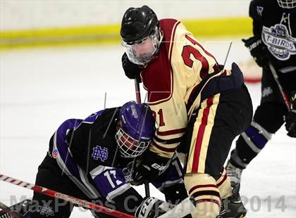 Thumbnail 1 in North Branford @ North Haven photogallery.