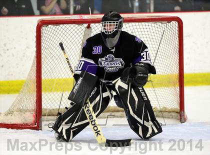 Thumbnail 2 in North Branford @ North Haven photogallery.