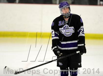 Thumbnail 3 in North Branford @ North Haven photogallery.