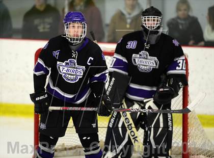 Thumbnail 1 in North Branford @ North Haven photogallery.